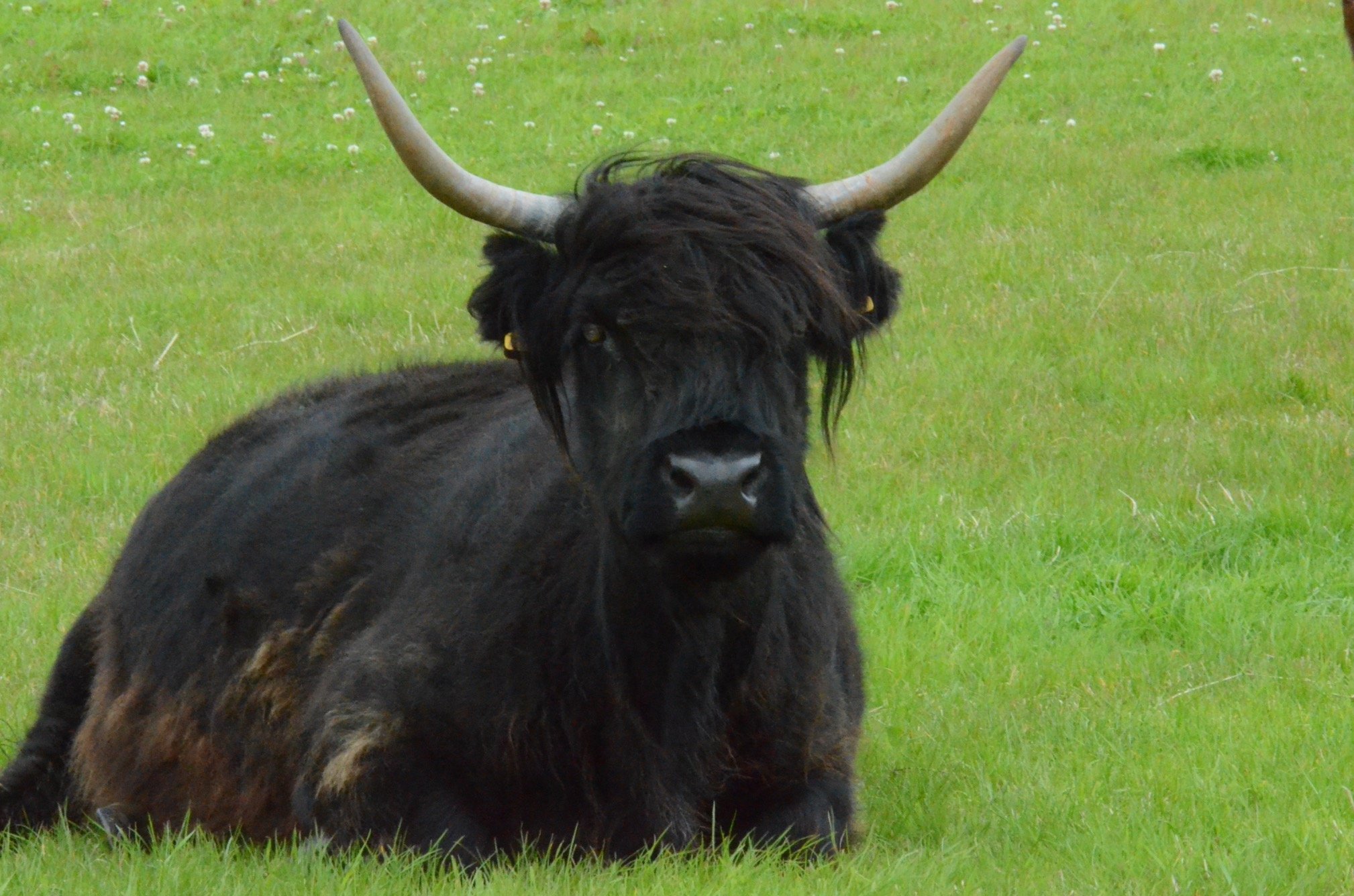 D5nrw1965's profile picture. 