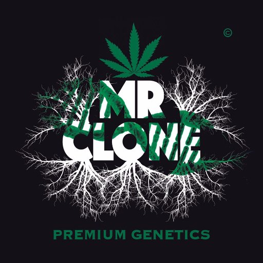 Mr Clone is a Medical Marijuana clone company. Our reputation in the medical marijuana community is very high. Guaranteed strains. Pest and Pathogen free!!