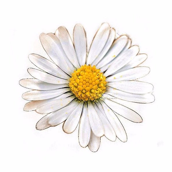 Babyssteinzeit's profile picture. 