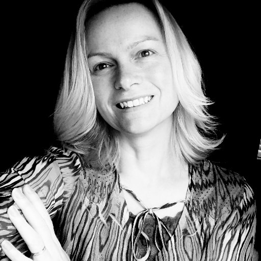 quesovel's profile picture. 