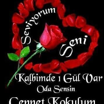 cemsit_yusuf's profile picture. Spor Eğlence ve Mizah