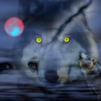 Śliweczka🐺(@sliweczka1) 's Twitter Profile Photo