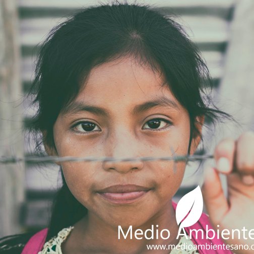 Medio Ambiente Sano está dirigido a la concientización social a través de mecanismos educativos para ayudar a nuestro medio ambiente. http://t.co/IbLNPxwbuz