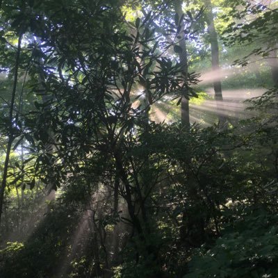 eafulgham3's profile picture. 🌹 blessings on blessings on blessings 🌹