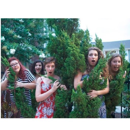 LandMermaids_'s profile picture. All lady improv troupe