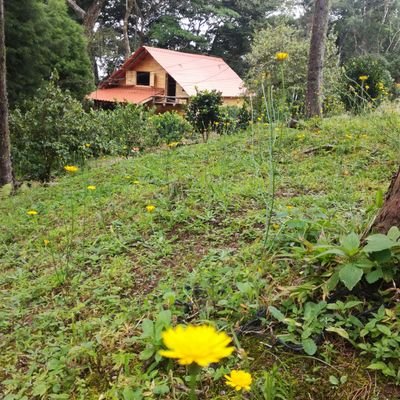 abelv29m's profile picture. 100% hijo de mi tierra, amante de lo que Dios ha puesto en mi camino!!!