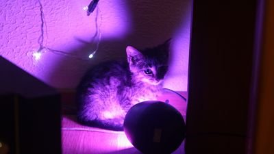 Человек, который возможно делит себя еще с кем-то