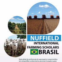 NuffieldBrazil (@nuffieldbrazil) 's Twitter Profile