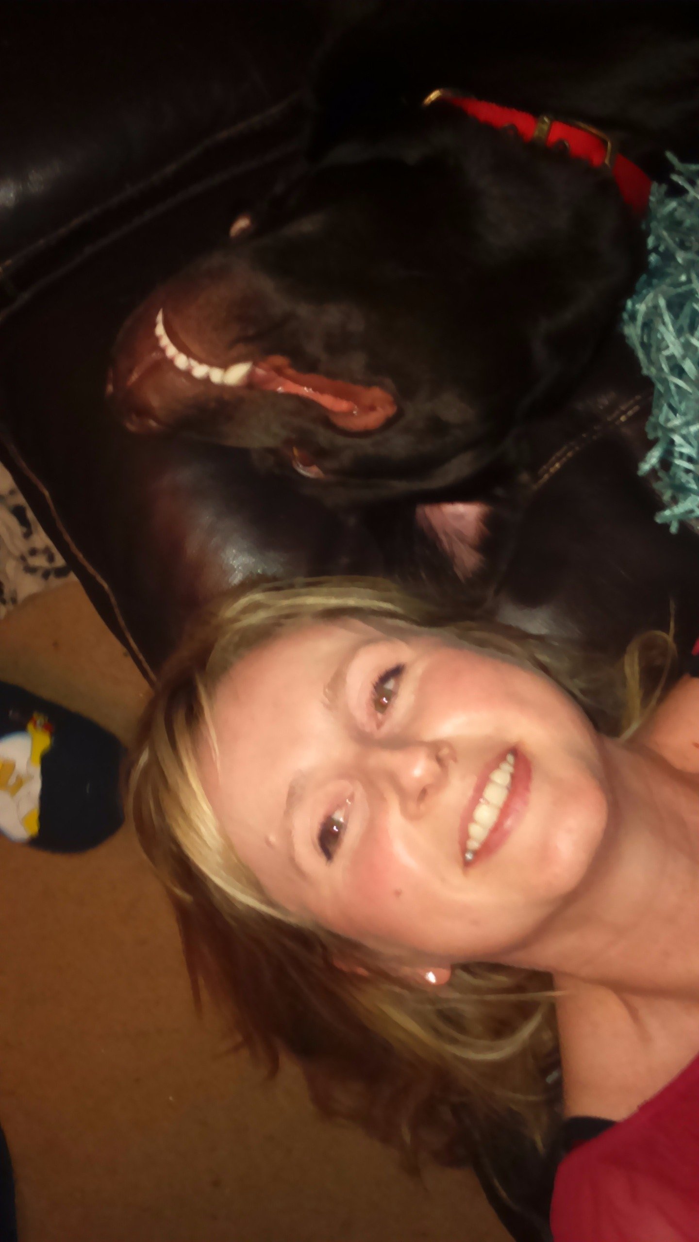 StephKAllen71's profile picture. 