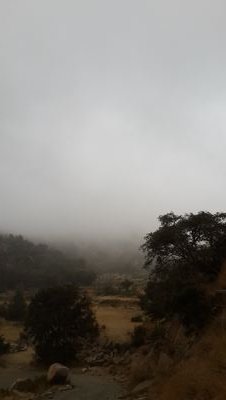 ان تحٍب انسان مہۆ. ب عٍيَب 
الُعٍيَب انگ تلُعٍب ب مشُاعٍرٍ انسان
