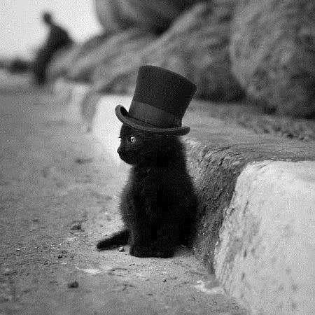 lynn_brewer's profile picture. Ginger, Queen of Communications at @ncadv, Writer of Novels and Stories, and Mother of @cliteraturej. Tweets/views my own.