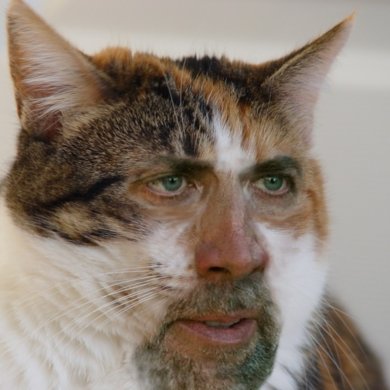 Growums's profile picture. Growums™ uses fun food gardens & interactive Web characters, games & learning tools to teach kids healthy eating habits from the ground up. Grow with Growums!