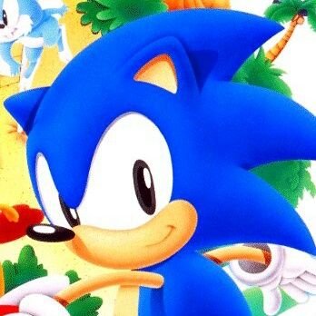 The fastest thing alive.
-Protector de la naturaleza de mobius, speedster y fan de los chili-dogs.- #TheRetconPunch