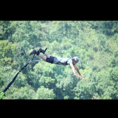 JayParikh8's profile picture. 