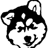 Sled Dog Studios (@sleddogstudios) 's Twitter Profile