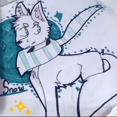 og80905's profile picture. 