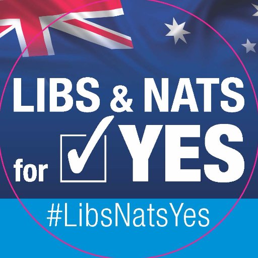 Libs & Nats for YES