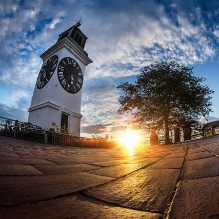 boldkurziv's profile picture. Citati i parafraze.