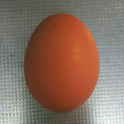 たまごさんのプロフィール画像