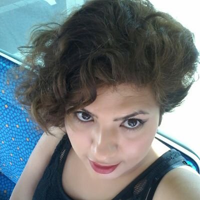 niloo233's profile picture. 