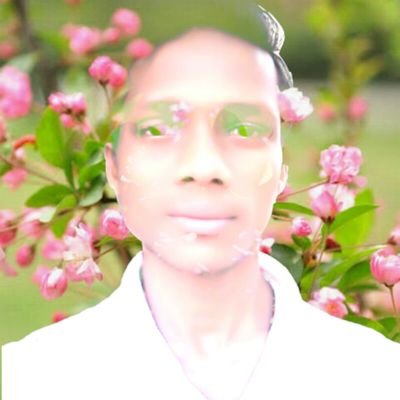 saumyar70730444's profile picture. Student of +3arts history honners by utkal university