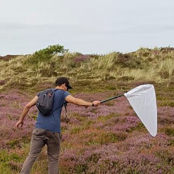 Researcher at Naturalis Biodiversity Center. #wildbees #biogeography #pollination #ecology