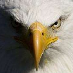 qwer1948's profile picture. 先定个小目标,肉身翻墙吧。