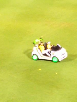 tachanmily's profile picture. タイガースが大好き😆💕