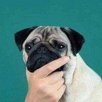 ⭕Choobi 🇵🇸 (@chummybits) 's Twitter Profile