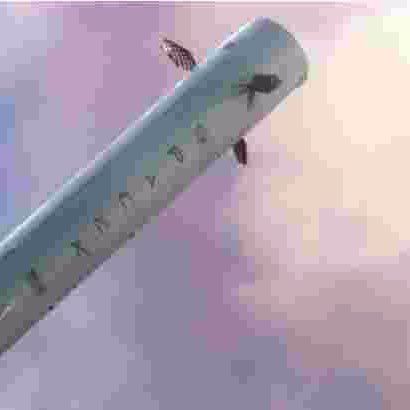 SpaceborneComp's profile picture. 