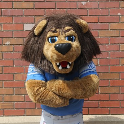 Detroit lions mascot Outlet