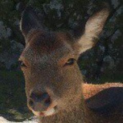 送料無料・名入れ彫刻 * pottery animal ❀* deer ちらっとみている 鹿
