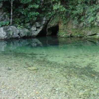 KOU100e_pad's profile picture. 🎉ツイッター始めました！(2017.8.15)🎉5月生まれ！沖縄に住んでます！！⚡️Fallout⚡️パズドラ等が趣味です！ ツイッターの事まだ全然分からない未熟者ですが、皆さんよろしくお願いします🤗