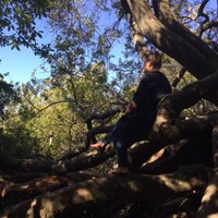 Dr. Courtneay Hopper (@archaeochops) 's Twitter Profile