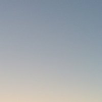 dando projects (@dandoprojects) 's Twitter Profile