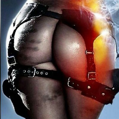 phoenixsnipeni's profile picture. 