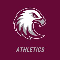 Augsburg Athletics(@AugsburgAuggies) 's Twitter Profile Photo