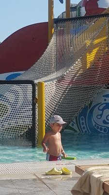 selimerdogans's profile picture. 