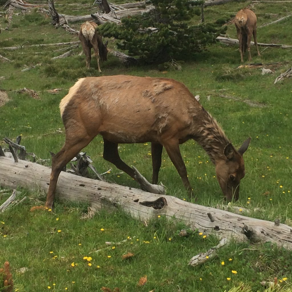 tristan8staffor's profile picture. AP Macro 7th