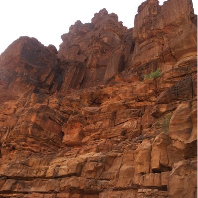 Am91500's profile picture. 