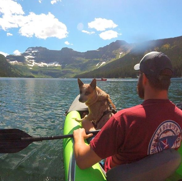 SHS_MrWiener's profile picture. 8th Grade US History teacher at Saline Middle School. Michigan grown, Colorado tested.