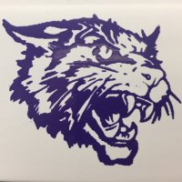 Minneola Wildcats (@minnhscats) 's Twitter Profile