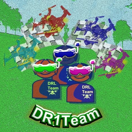 DR1Team Profile Picture