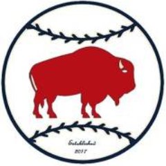 Waterdown Bisons Baseball Club plays in the GHBL, tier 2 for the 2019 season. After strong 2017 and '18 seasons the Bisons are looking for another good year.