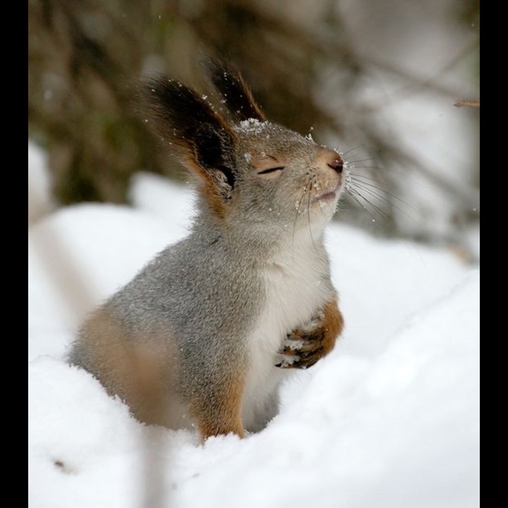 Mizunayaya26's profile picture. 