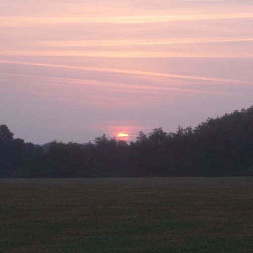 Perdiswell Park in Worcester UK - sharing the love we have for this tranquil green space (and some photos).