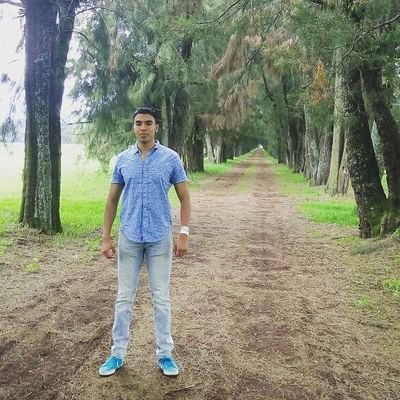 pyse's profile picture. 