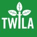 TWILA TV (@twilatv) artwork