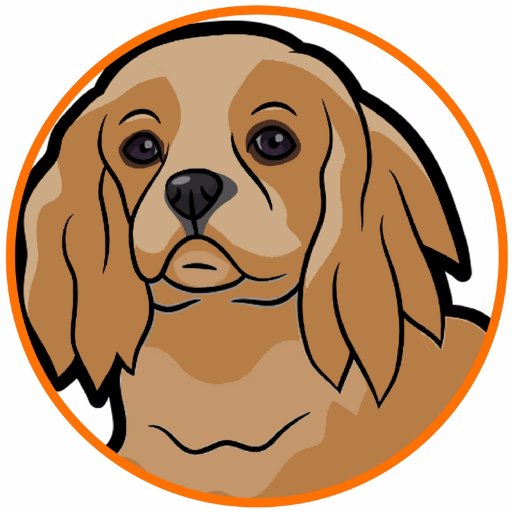 The ultimate resource for spaniel dog owners.

Web: https://t.co/mR4Ktcuerr

Facebook: https://t.co/AidRgYIXeQ

Join our community of spaniel dog lovers