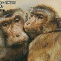 BEN MORA ALL EYES ON HUMANITY (@pericles2zen) 's Twitter Profile
